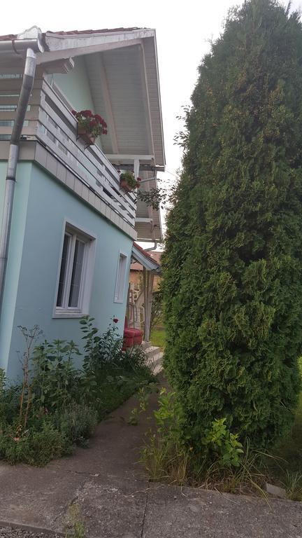 Vila Casa Cristina Sovata Exteriér fotografie